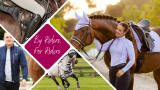 Discover Equus: Your Ultimate Equestrian Store