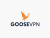 GOOSE VPN kortingscode