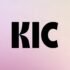 Heychic discount code