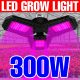 Full Spectrum Plant Growth Light LED