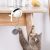 Smart Cat Toy Ball Electronic